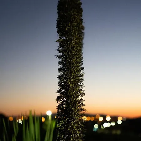 Βίλα Sunset Dourado *